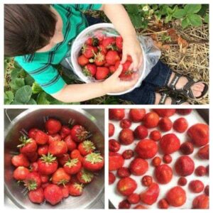 berries in strainer