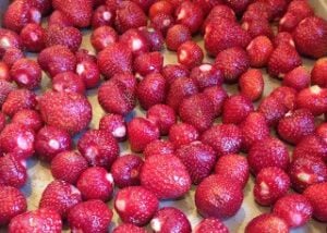 strawberries on cookie sheet