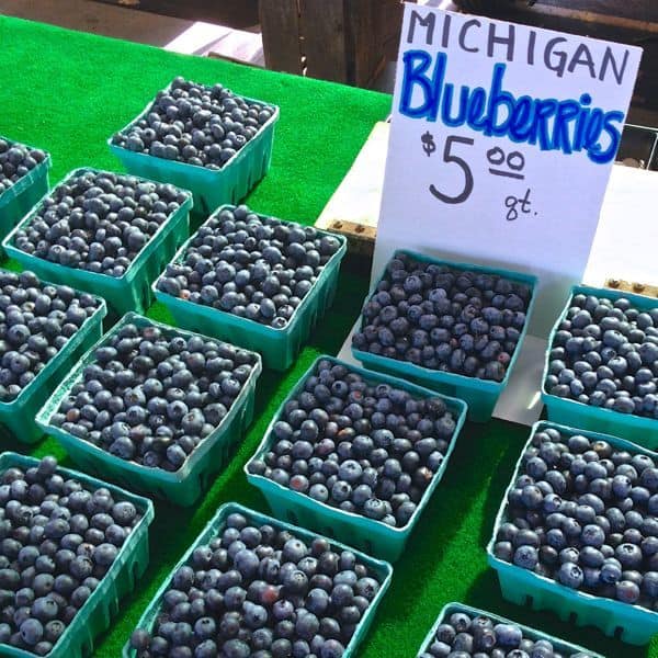 Michigan Blueberries - The Lemon Bowl