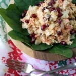 Pomegranate Chicken Salad - Plaid and Paleo