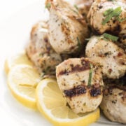 Grilled Chicken Souvlaki