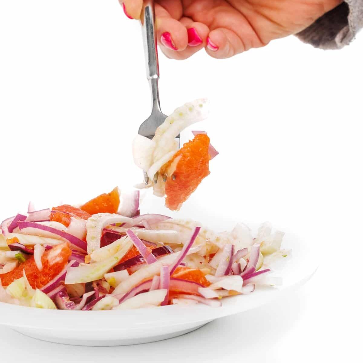 Orange, Fennel, and Red Onion Salad