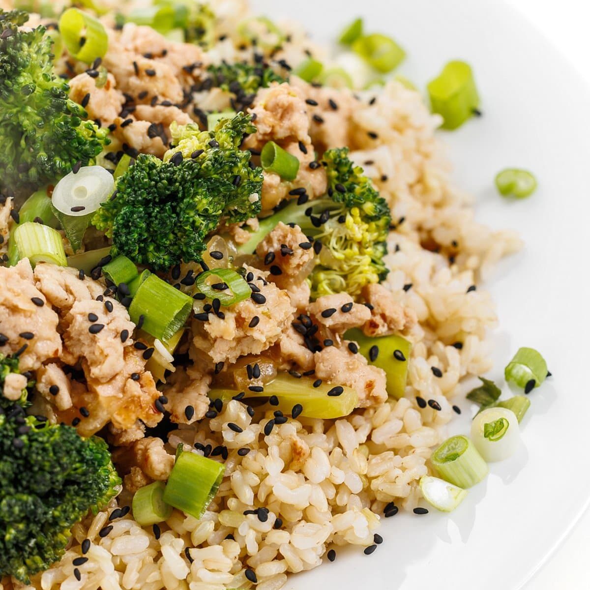 Brown Rice and Ground Turkey Stir Fry