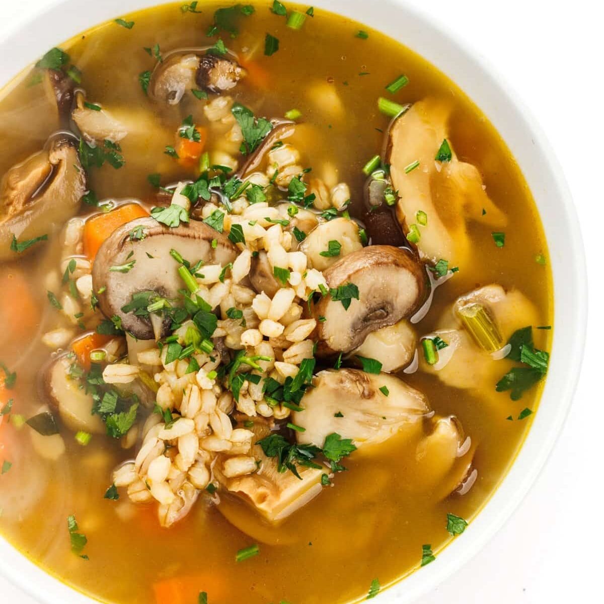 Mushroom Barley Soup