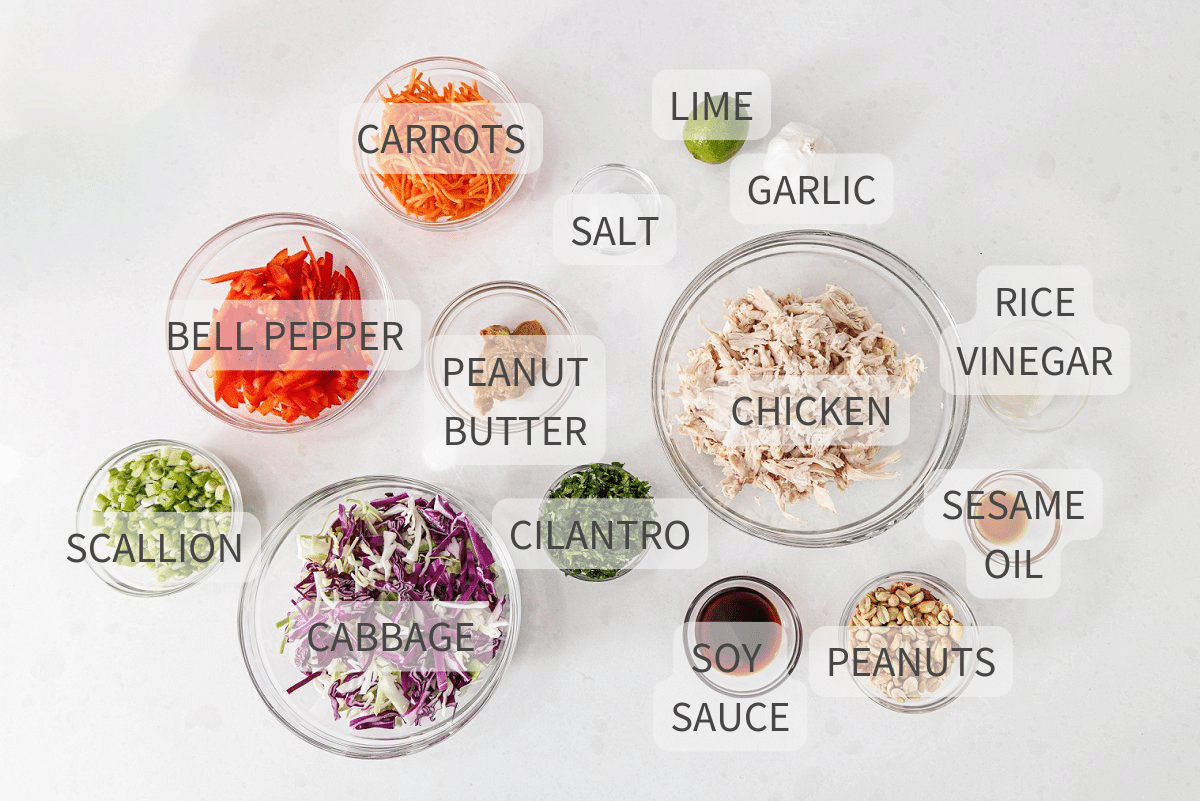 Labeled ingredients for healthy asian chicken chopped salad.