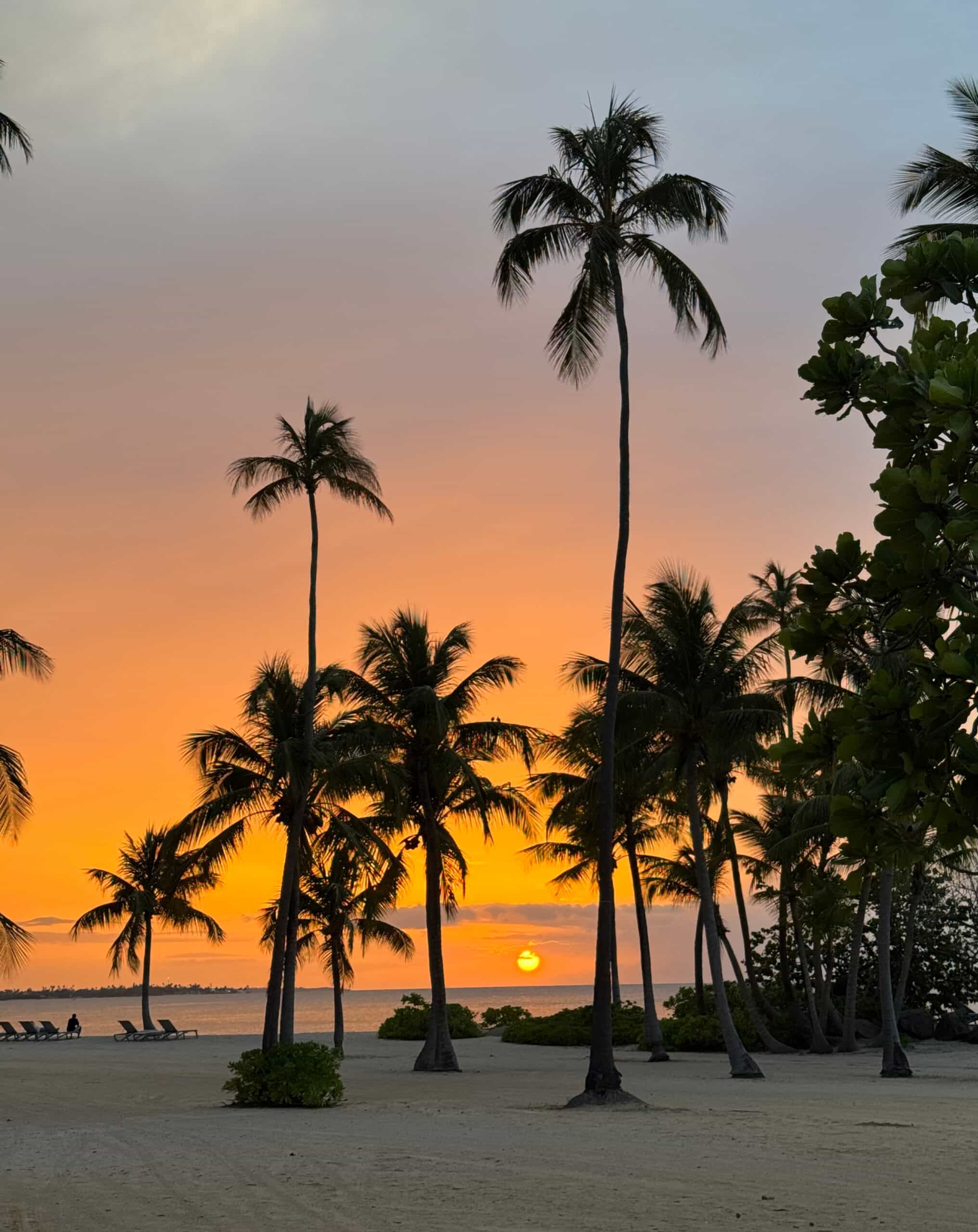 The sun setting on the beach in Puerto Rico creating a silhouette of palm trees against the sky.