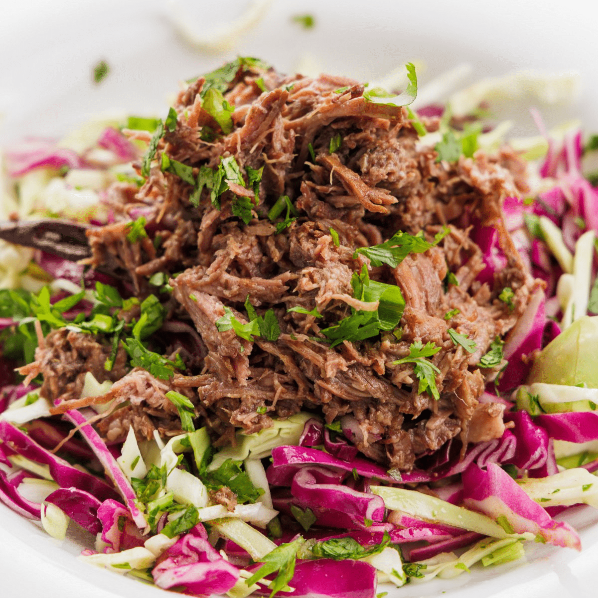 Shredded beef on bed of cabbage slaw.