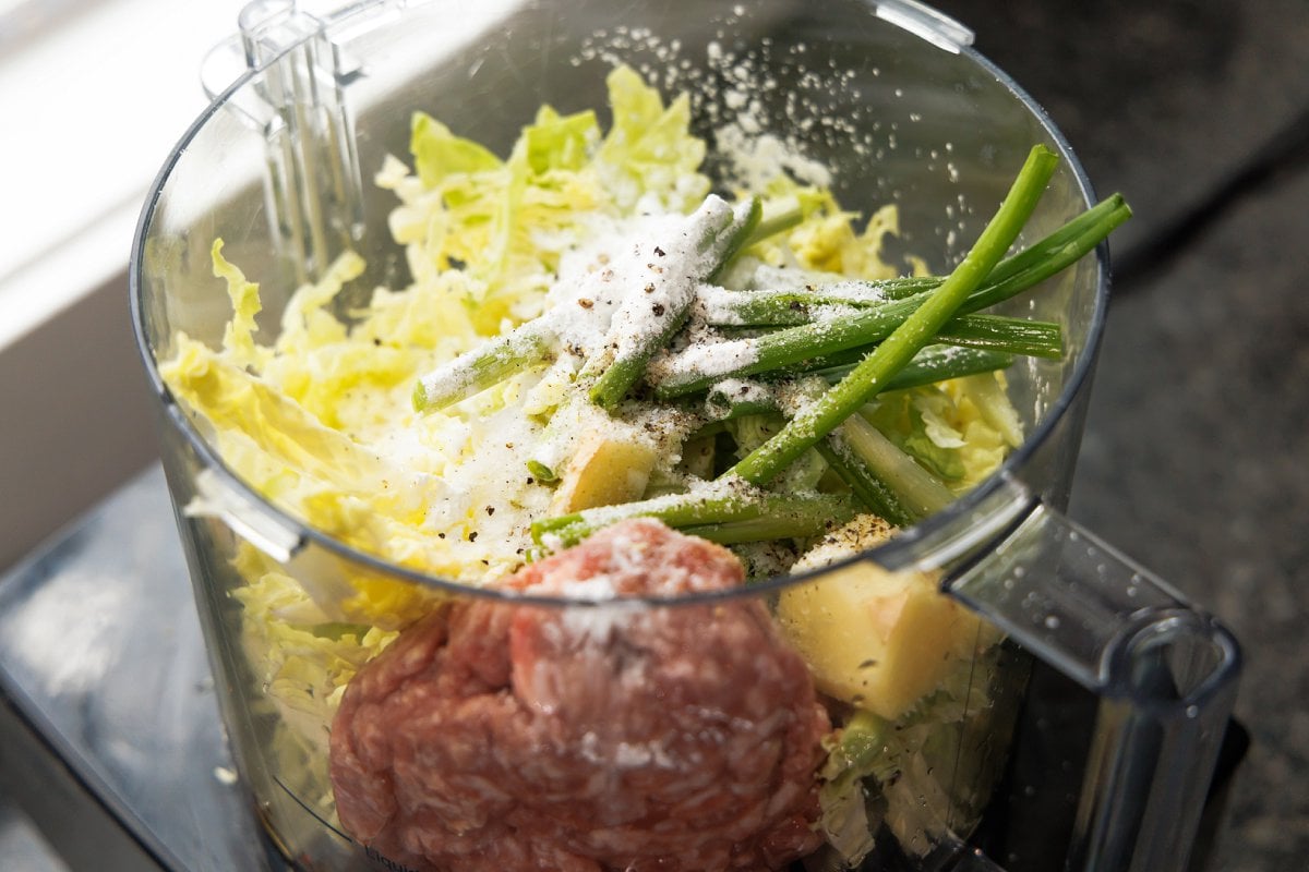 Shredded cabbage, scallions, ginger, and ground pork in food processor.